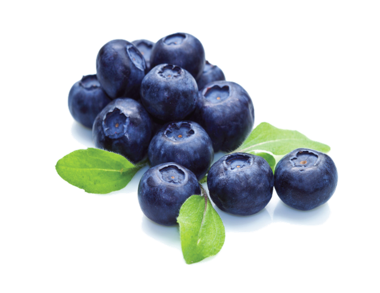 Blueberry Png File (indigo, black, gray, olive)