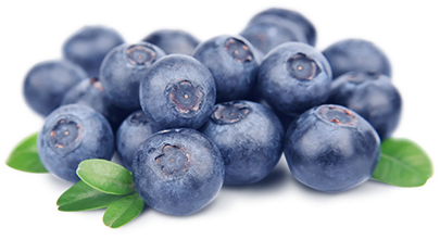 Blueberry Png Hd (white, black)