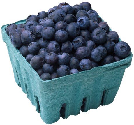 Blueberry Png Image (black, teal)