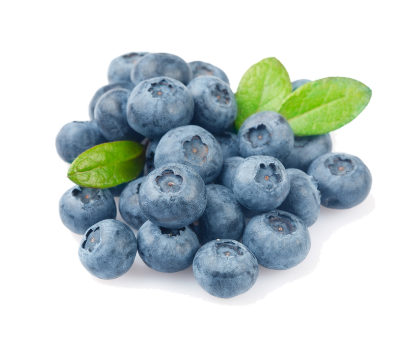 Blueberry Png Photo (lavender, black, silver)