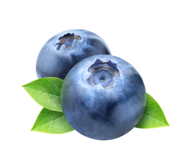 Blueberry Png Photos (black)