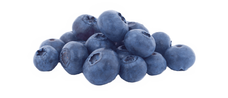 Blueberry Png Pic (white, black, gray)