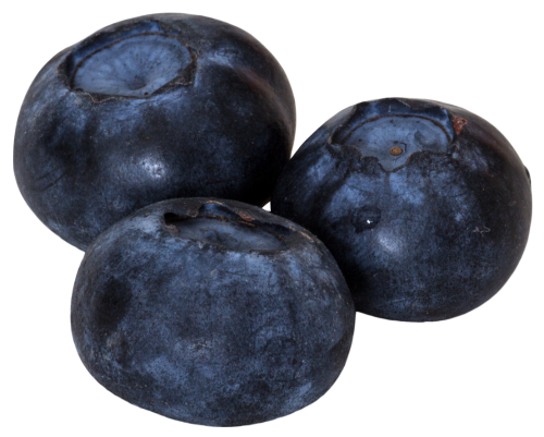 Blueberry Png Picture (black, indigo)