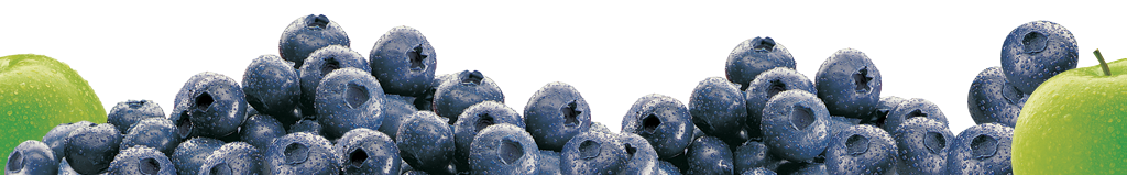 Blueberry Png Transparent Image (white, black, silver)