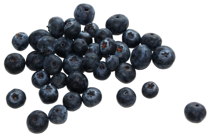 Blueberry Png Transparent (black, indigo)