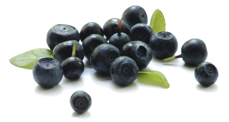 Blueberry Transparent Background (black)