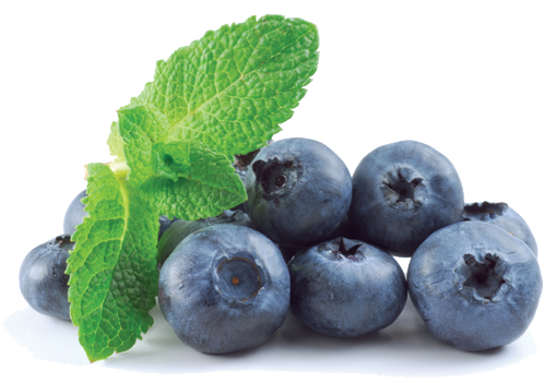 Blueberry Transparent Png (white, lavender)