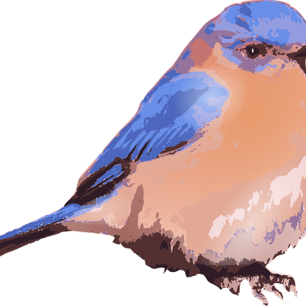 Bluebird Png Photo (black, silver, maroon, salmon, gray)