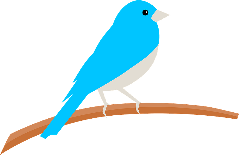 Bluebird Png Pic (beige, greenish blue, gray)