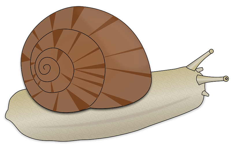 Slug Png Image (gray)