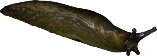 Slug Png Isolated Hd Pictures (black)