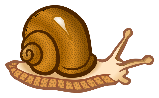 Slugs Png Photo (black, beige, maroon, olive, chocolate)