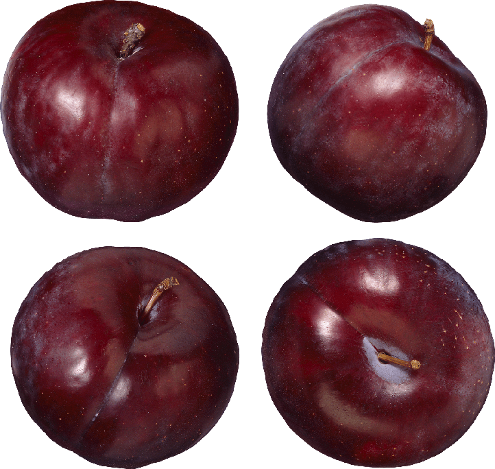 Plum Png File (black)