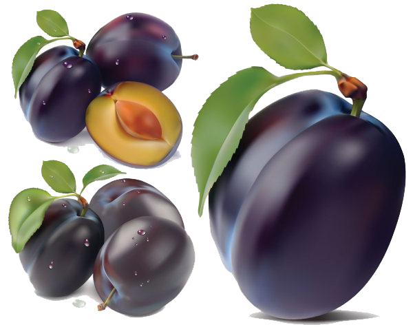 Plum Png Image (white, indigo, black)