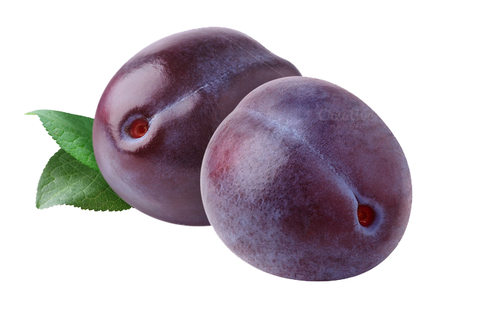 Plum Png Pic (white, indigo, gray, green)