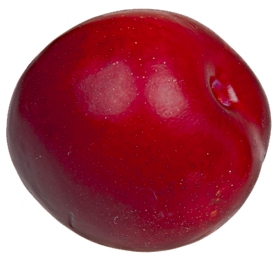 Plum Png Transparent Image (white, maroon)