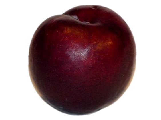 Plum Transparent Background (black)