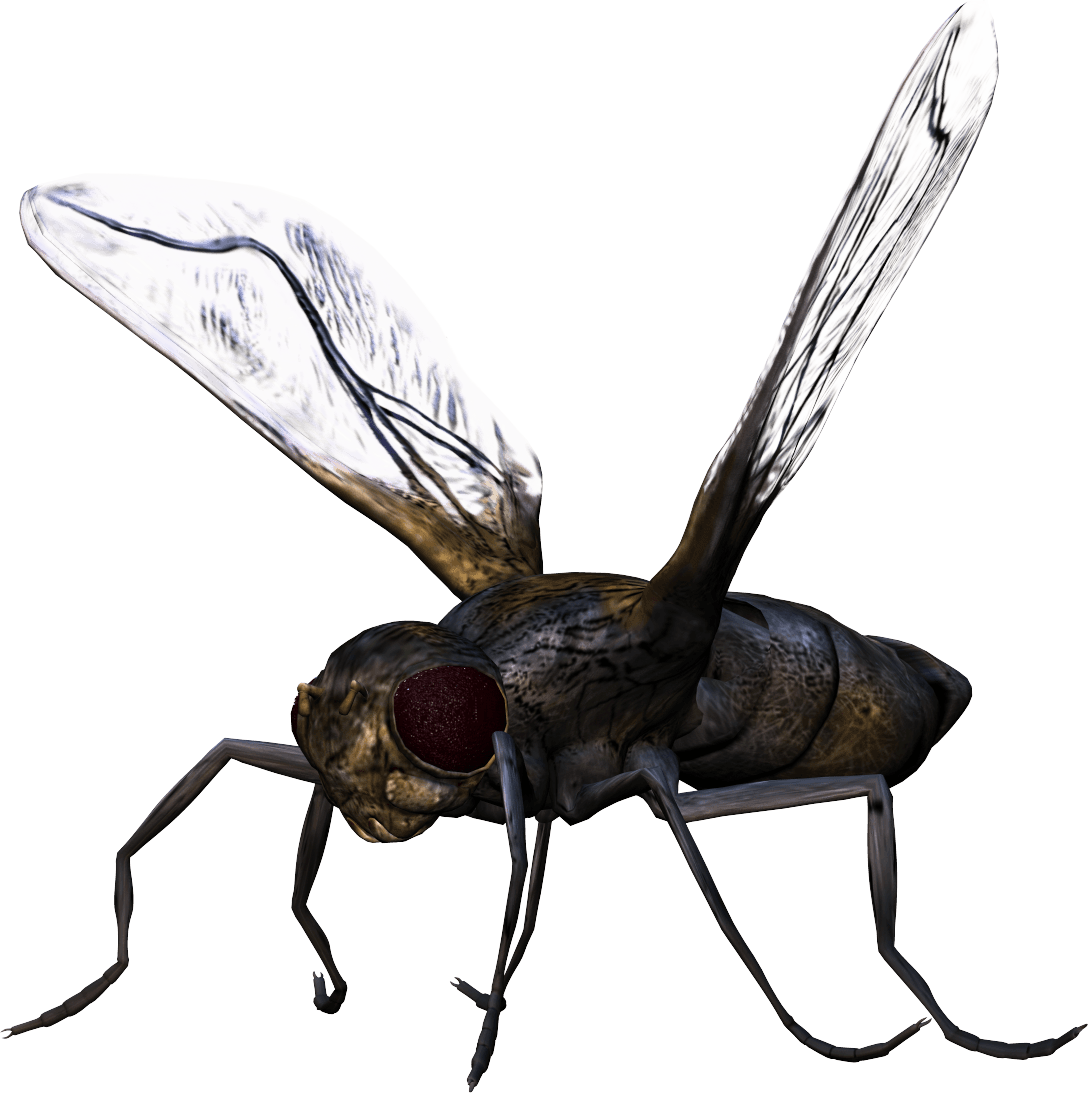 Fly Insect Png Clipart (gray)