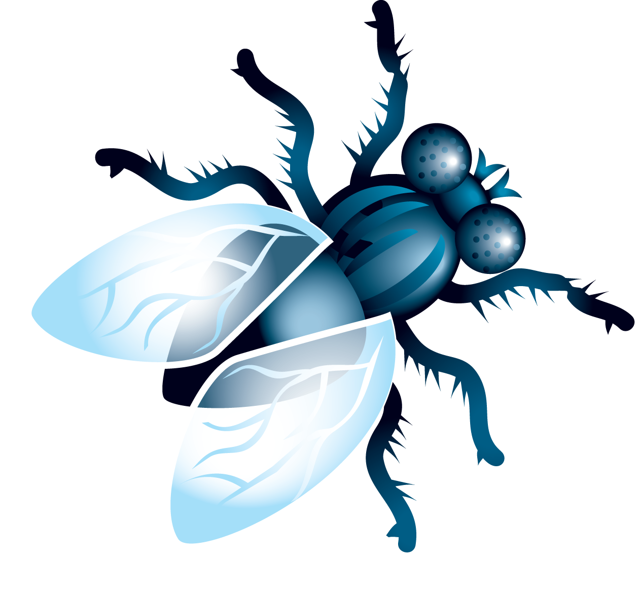 Fly Insect Png Isolated Image (black, mint, white)