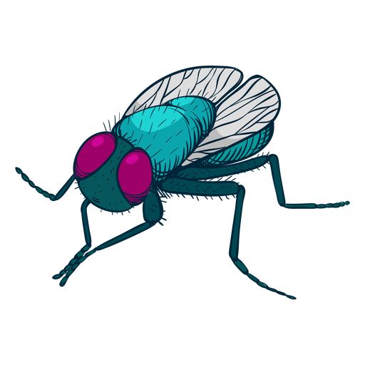 Fly Insect Png Photo (teal, black, purple)