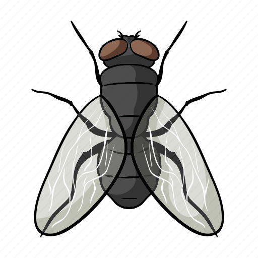 Fly Insect Png Transparent (indigo, black)