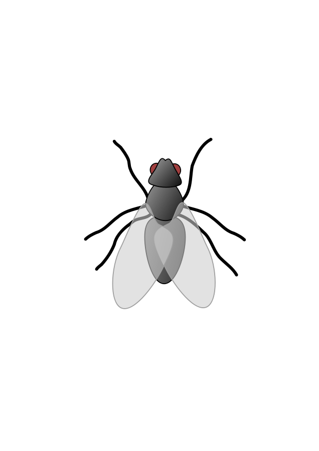 Fly Png Transparent Hd Photo (indigo, black, silver)