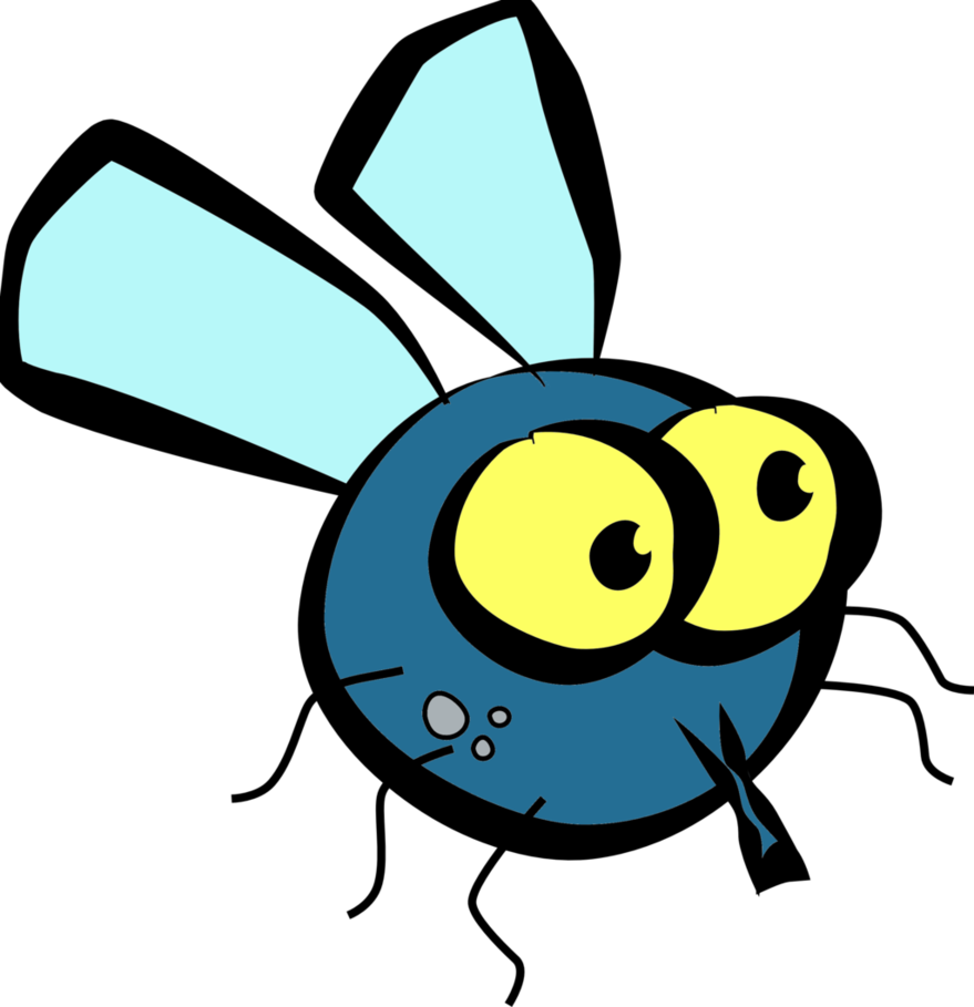 Fly Png Transparent Picture (yellow, teal, mint, lavender, black)