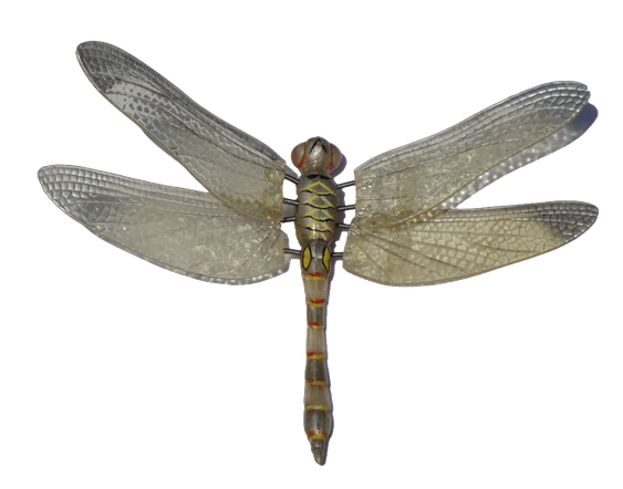 Fly Transparent Png (black, gray)