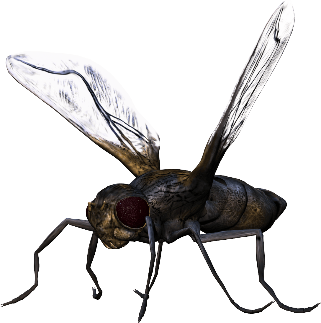 Flying Bugs Png File (gray)