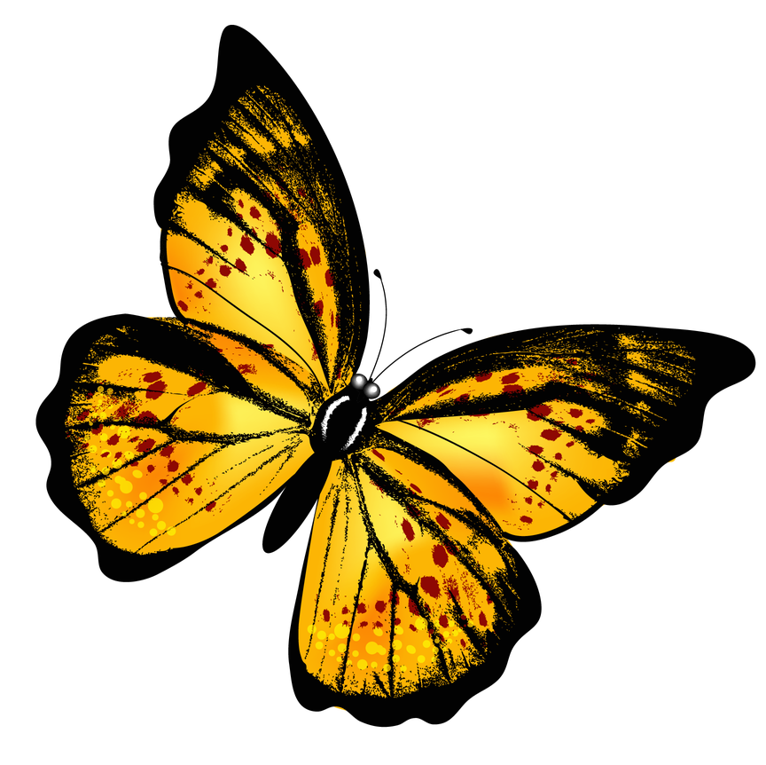 Flying Butterfly Png Photos (black)