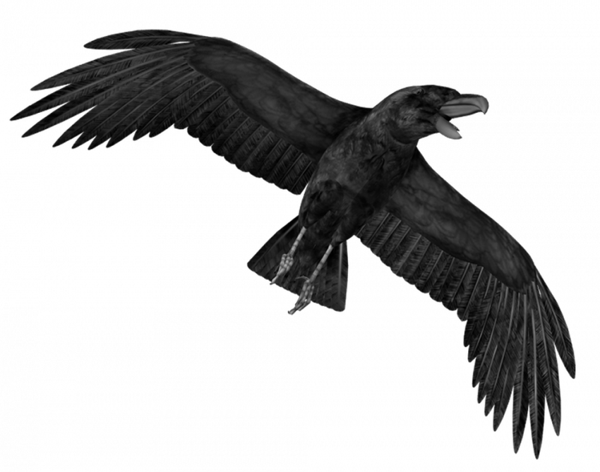 Flying Crow Png Photo (teal, indigo)