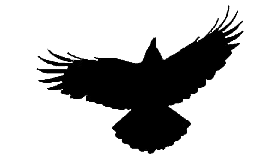 Flying Crow Png Transparent (black, white)