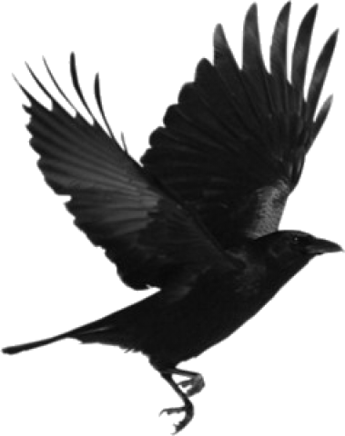 Flying Crow Png (black)