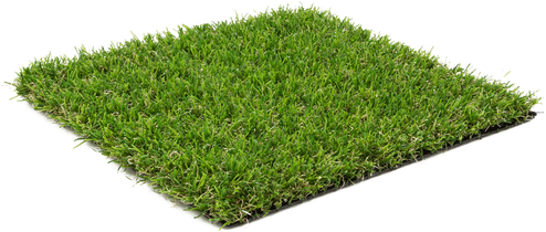 Small Artificial Grass Png (black, olive)