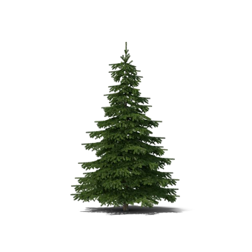 Small Christmas Fir Tree Transparent Png (black, white)