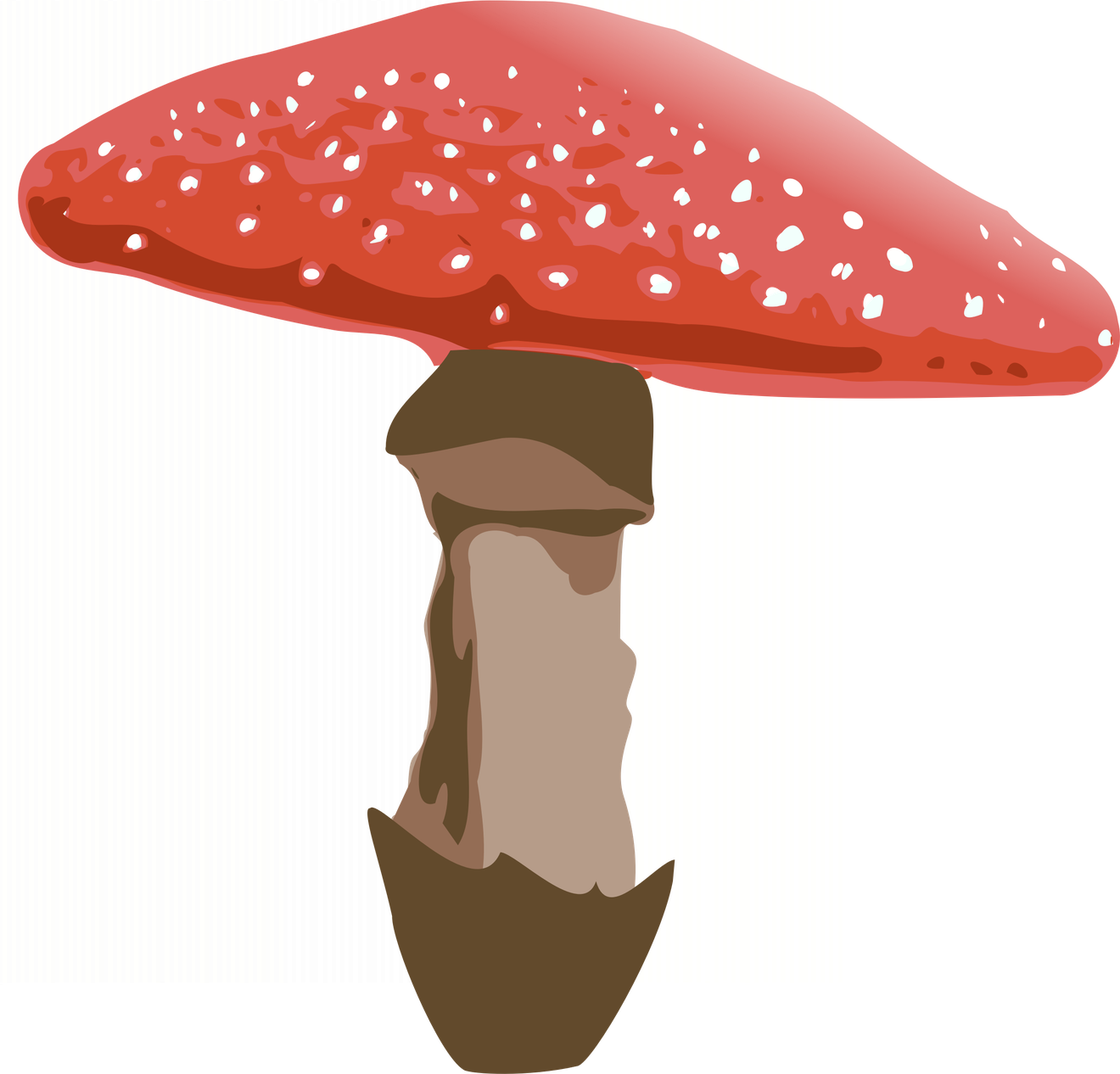 Amanita Muscaria Png File (white, olive, black, gray)