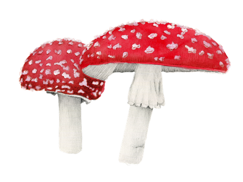 Amanita Muscaria Png Free Download (beige, black, silver)