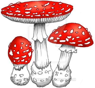 Amanita Muscaria Png Image (white, black)