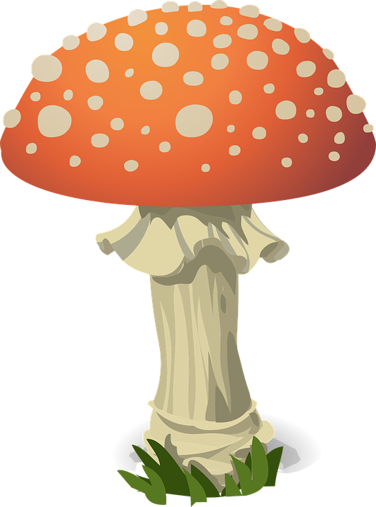 Amanita Muscaria Png Photo (gray, silver, chocolate, black, salmon)