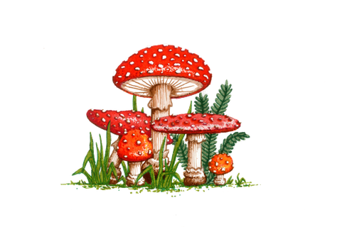 Amanita Muscaria Png Picture (black)