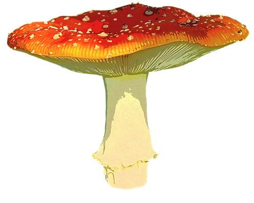 Amanita Muscaria Png Transparent Image (pink, beige, black)