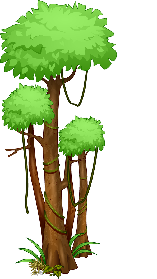 Amazon Rainforest Png Pic (black, mint, gray)