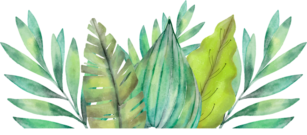 Amazon Rainforest Png Picture (black, mint)