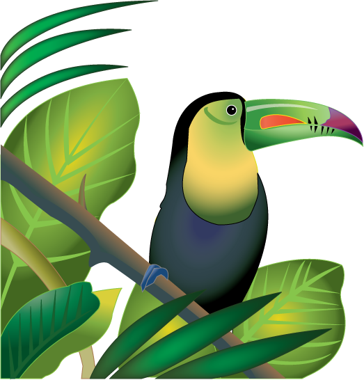 Amazon Rainforest Png Transparent Picture (salmon, teal, olive, indigo, black)