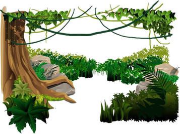 Amazon Rainforest Transparent Background (black, white)