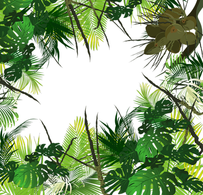 Amazon Rainforest Transparent Images Png (green, black, olive)