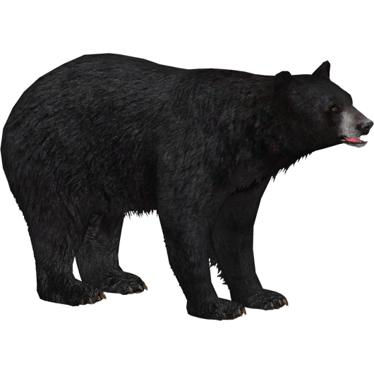 American Black Bear Png Clipart (black)