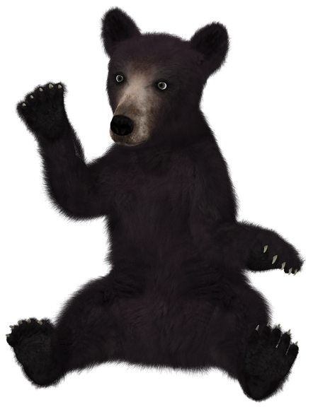 American Black Bear Png File (black)