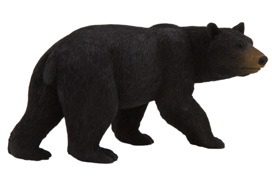 American Black Bear Png Pic (black)