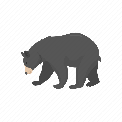 American Black Bear Transparent Png (black, gray)